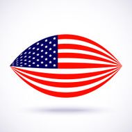 Stylish american flag for Independence day N2