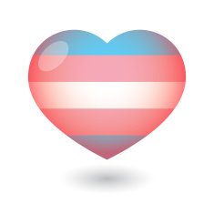 heart with a transgender pride flag