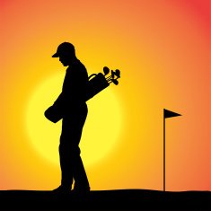 Vector silhouette of a man N254