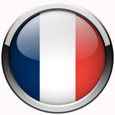 france flag gel metal button