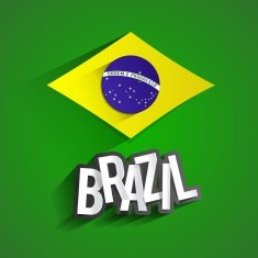 Brazilian flag N15
