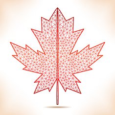 Geometric red leaf
