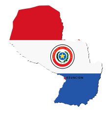 Flag of Paraguay N14
