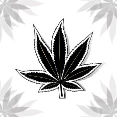 Black cannabis leaf