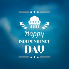 United States of America Independence Day greeting card N6