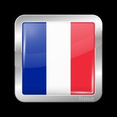 Flag of France Metal Icons