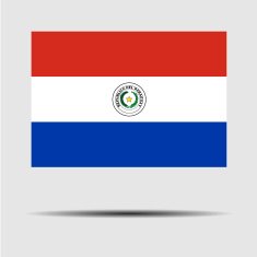 National Flag of Paraguay N3