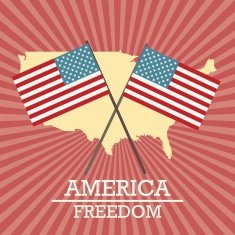 USA Icons N23