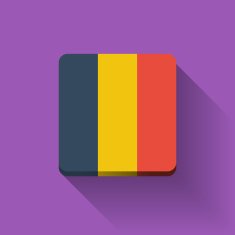Button with flag of Romania