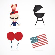 USA Icons N24