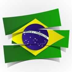Brazilian flag N16