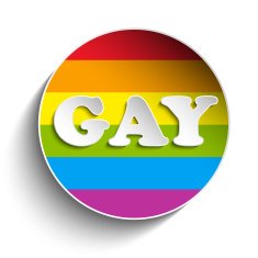 Gay Flag Circle Striped Sticker N4