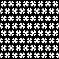 Bone Black and White Seamless Pattern N2