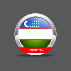 Uzbekistan Flag Vector Icon