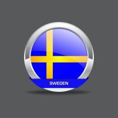 Sweden flag vector icon N2