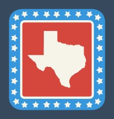 Texas state button N2
