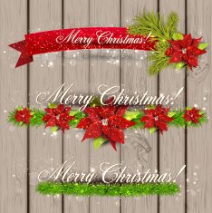 Set of Ribbons Labels Tags "Merry Christmas N4