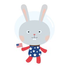 Space bunny with USA flag N2