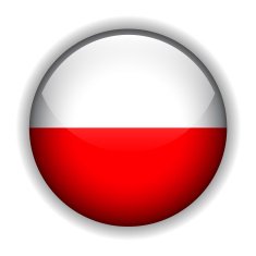 Poland flag button vector