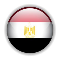 Egypt flag button vector N2