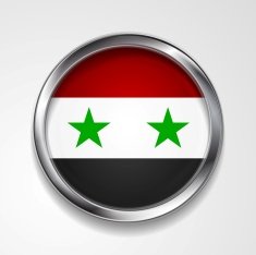 Button with stylish metallic frame Syrian flag