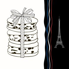 Macaroon Symbols of France