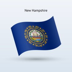 State of New Hampshire Flag N4
