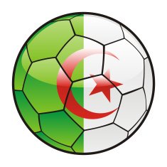 Algeria flag on soccer ball