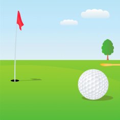 Golf Ball N13