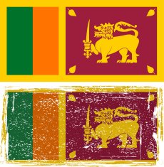 Sri Lanka grunge flag N3