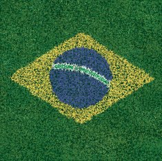 Brazil Flag on Soccer Grass