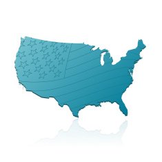USA map with flag N2