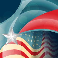 American Flag Vector N32