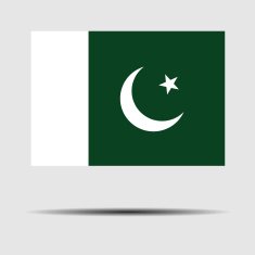 National Flag of Pakistan N4