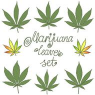 Set of natural marijuana leaves N2