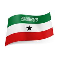 Flag of Somaliland N12