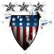 Grunge American Shield N3