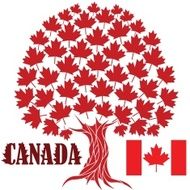 Maple Tree N5