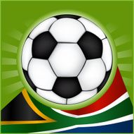 World Cup Soccer Ball N6
