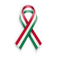 Flag of Hungary N35