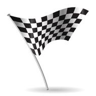 Checkered Flag Vector N11