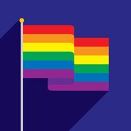 Rainbow Flag N22