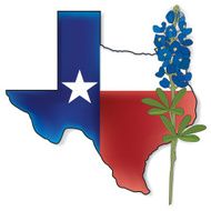 Texas State Flag Background N2