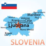 Slovenia N8