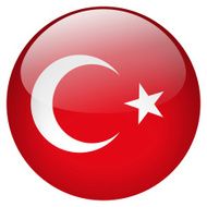 Turkey button N2