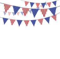 USA Flag N123