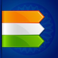 Tricolor Label Tag N2