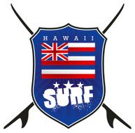 hawaii surf shield with flag