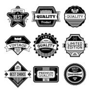 Assorted designs vector black and white vintage badges 5 N2