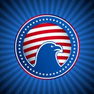 Medal Flag Eagle US America Background Head